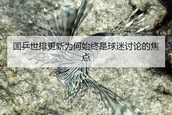 国乒世排更新为何始终是球迷讨论的焦点